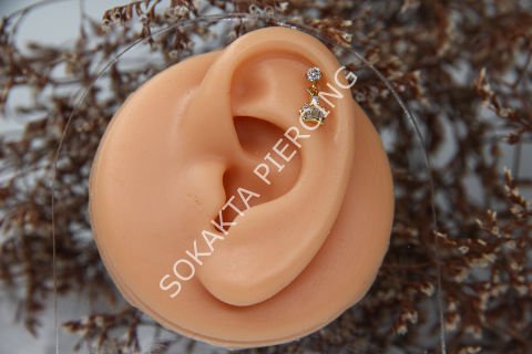 D11 - SALLANTILI TRAGUS - HELIX