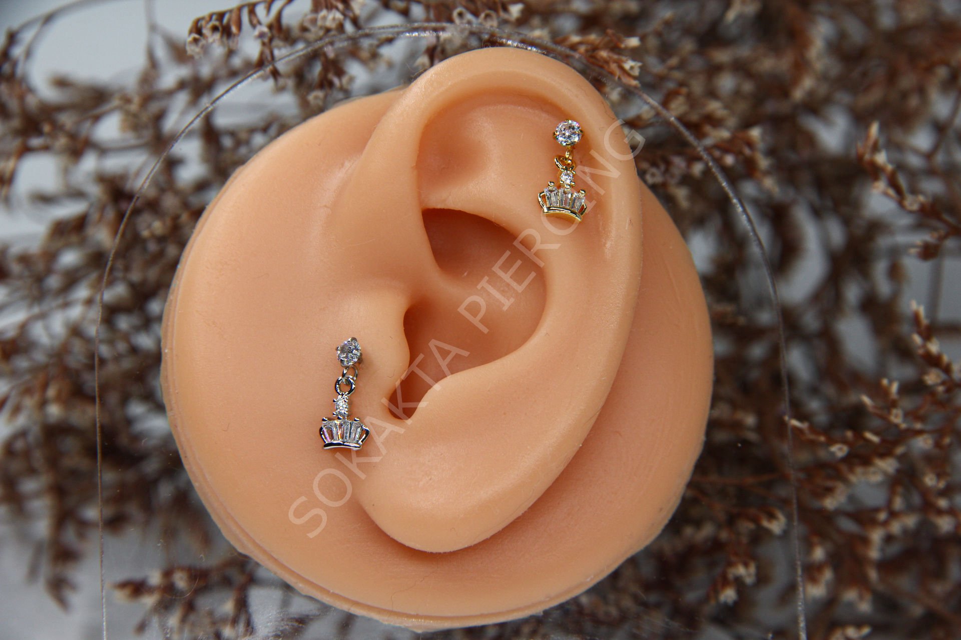 D11 - SALLANTILI TRAGUS - HELIX