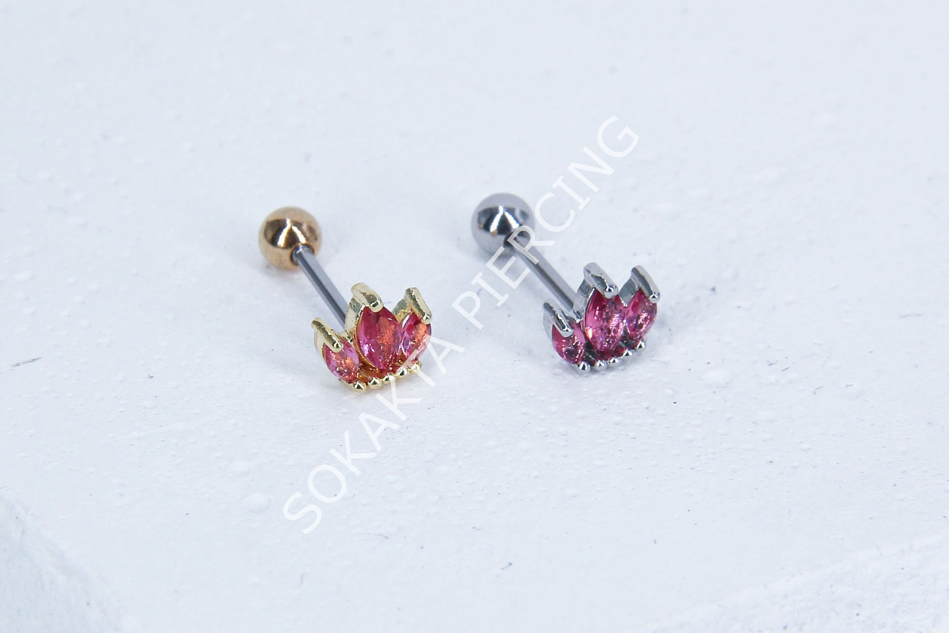 B95 - TRAGUS