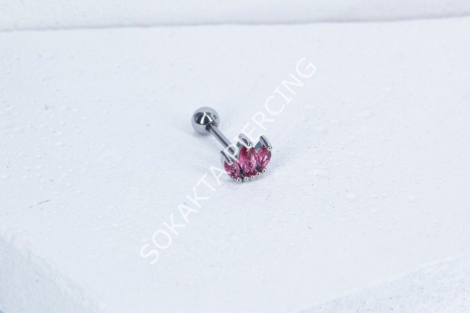 B95 - TRAGUS