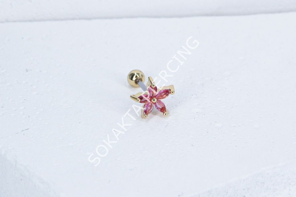 B93 - TRAGUS