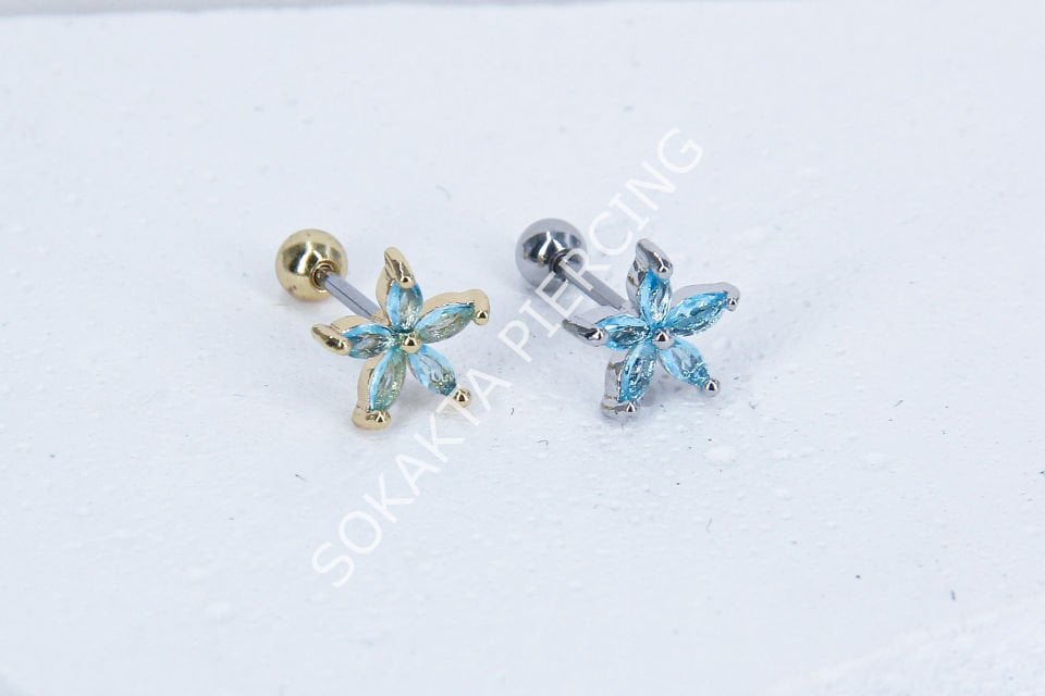 B92 - TRAGUS