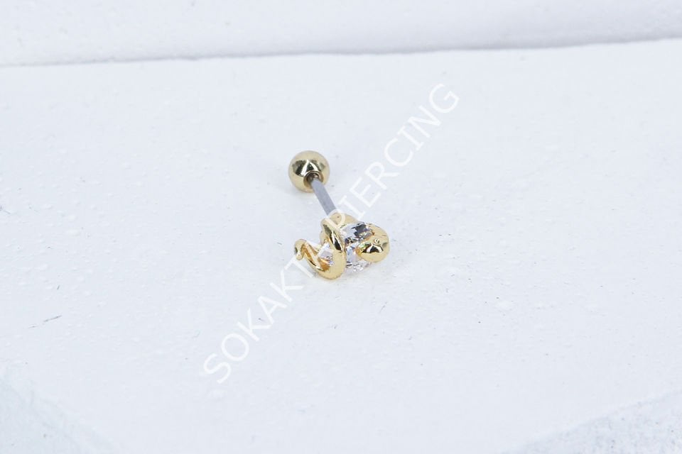 B19- TRAGUS