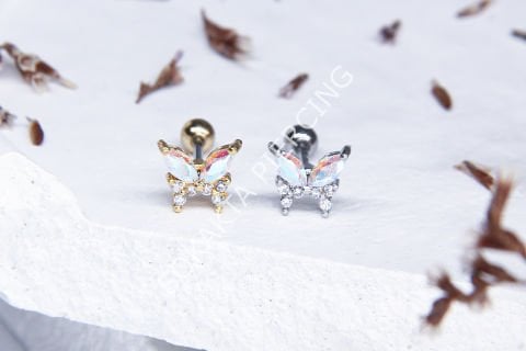 B44 - TRAGUS