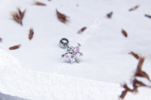 C59 - TRAGUS