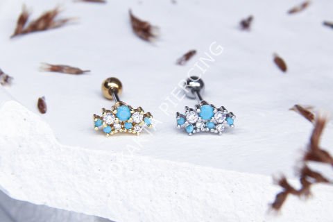 Tragus 340