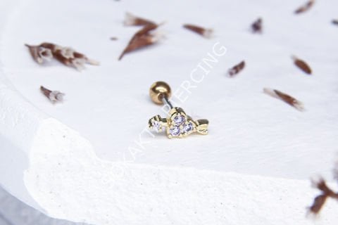 C108 - TRAGUS
