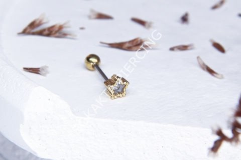 Tragus 351