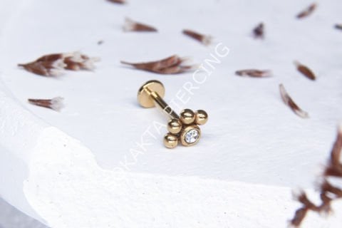 A63 - TRAGUS