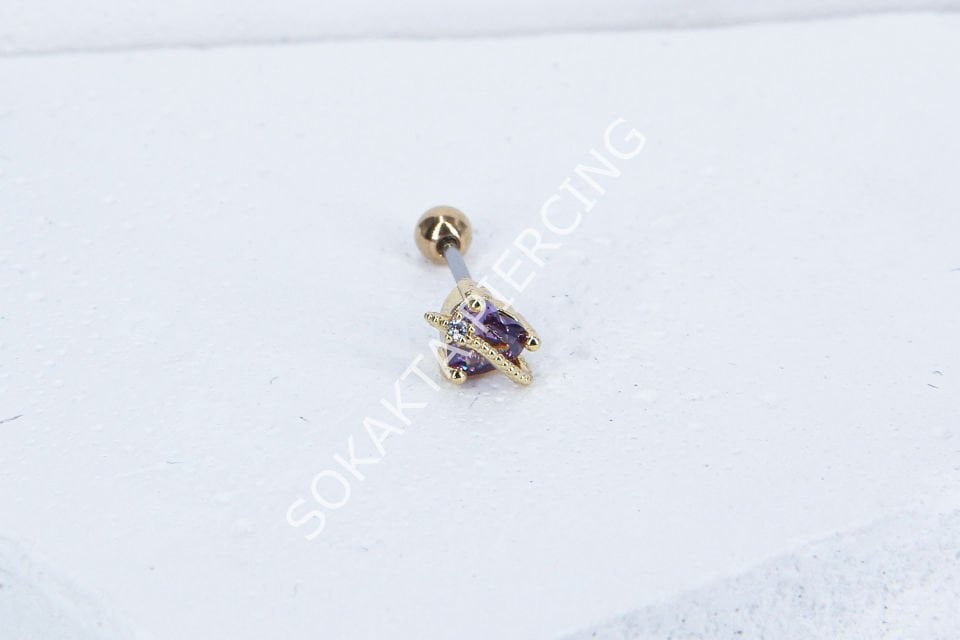 B13- TRAGUS