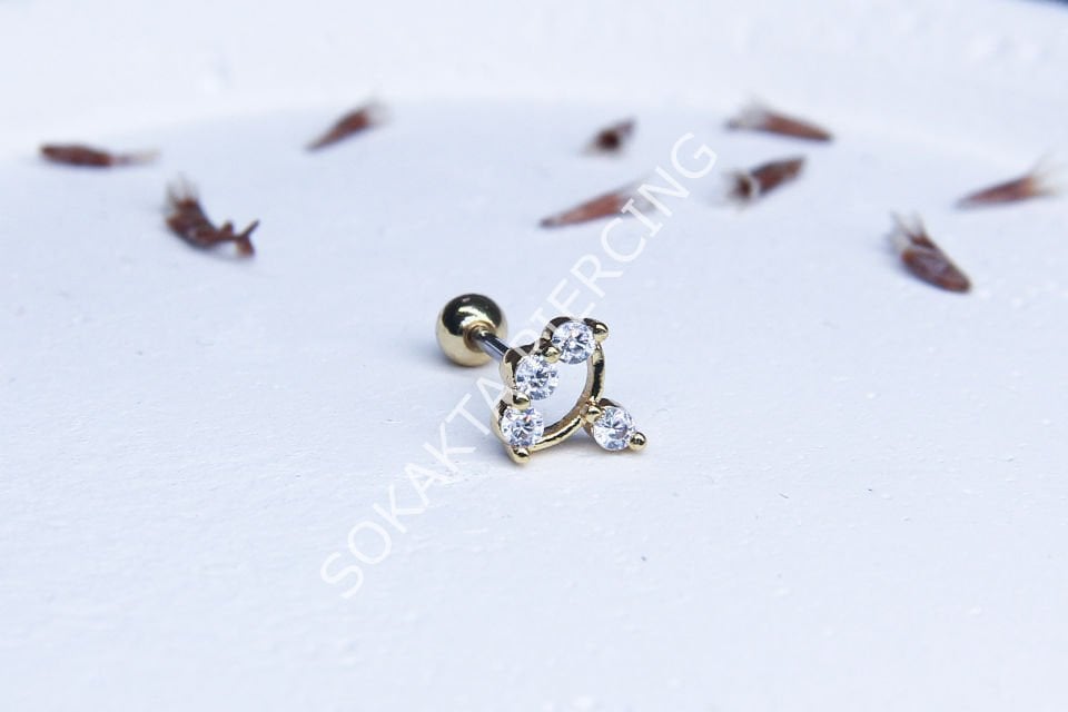 B21 - TRAGUS