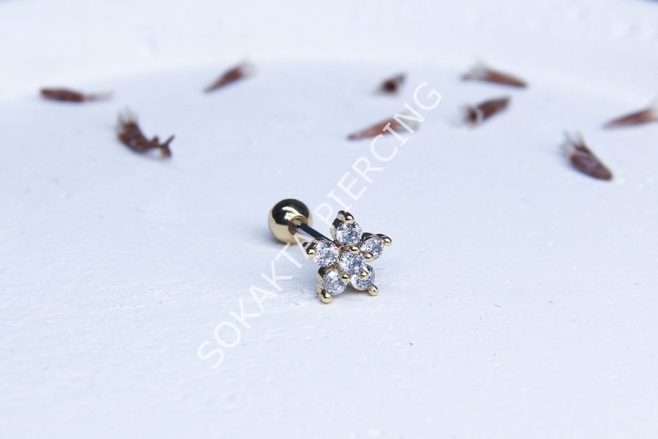 Tragus 119