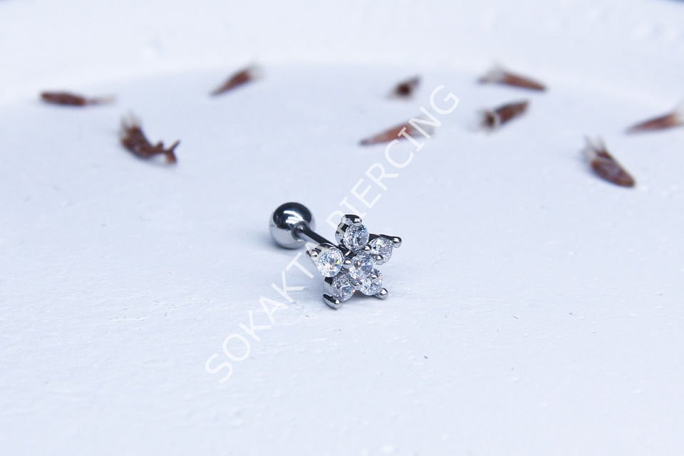 Tragus 119