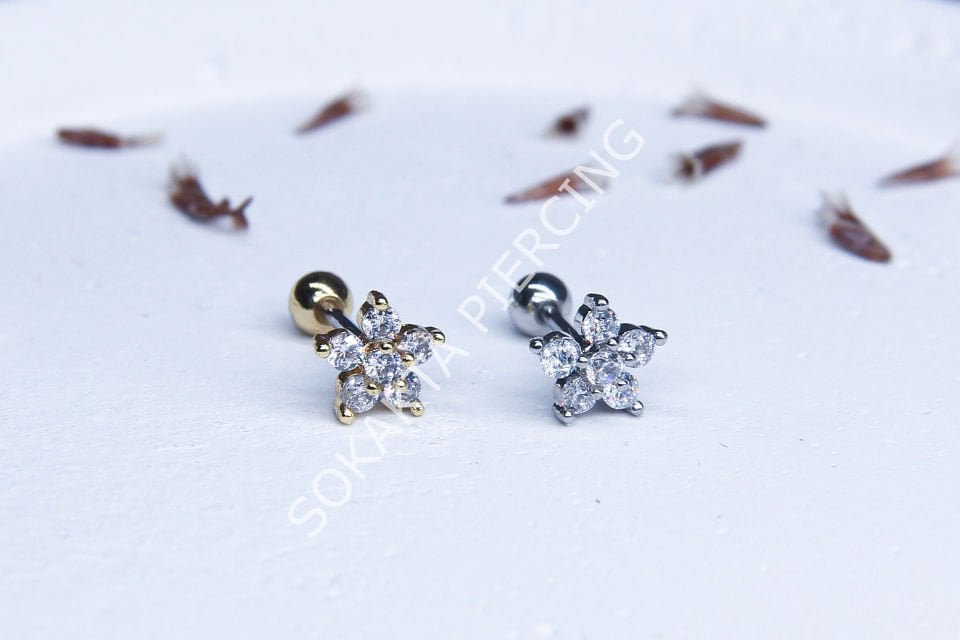 Tragus 119