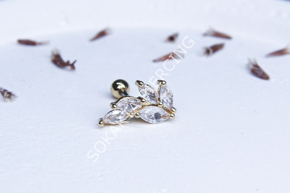 B62 - TRAGUS