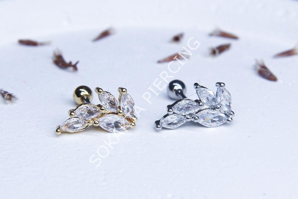 B62 - TRAGUS