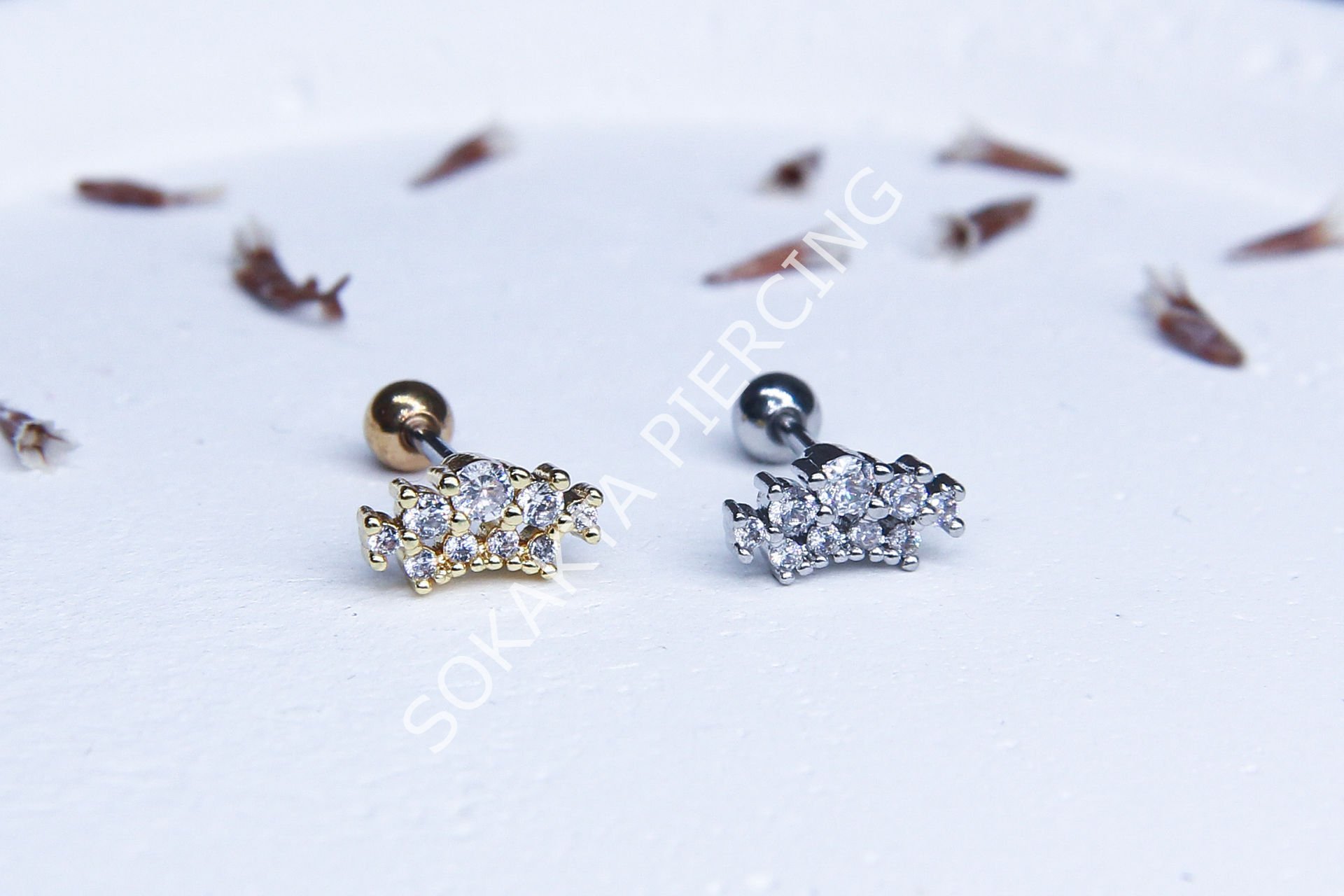 B6 - TRAGUS