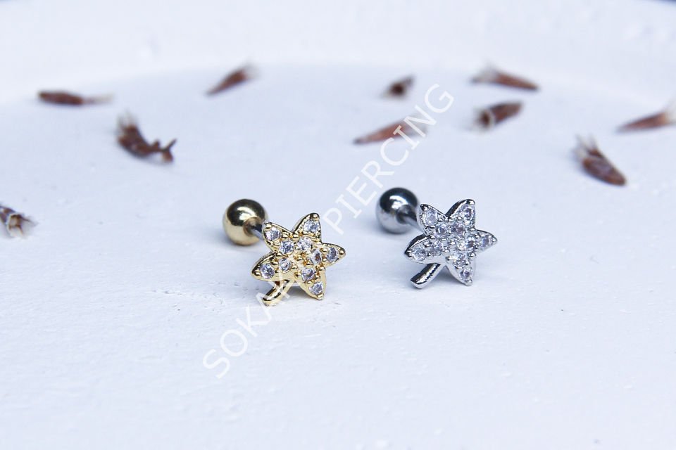 B53 - TRAGUS