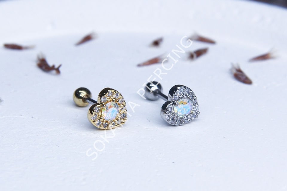 B101 - TRAGUS