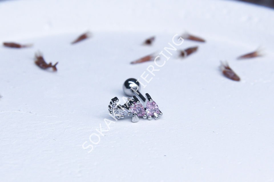 C62 - TRAGUS