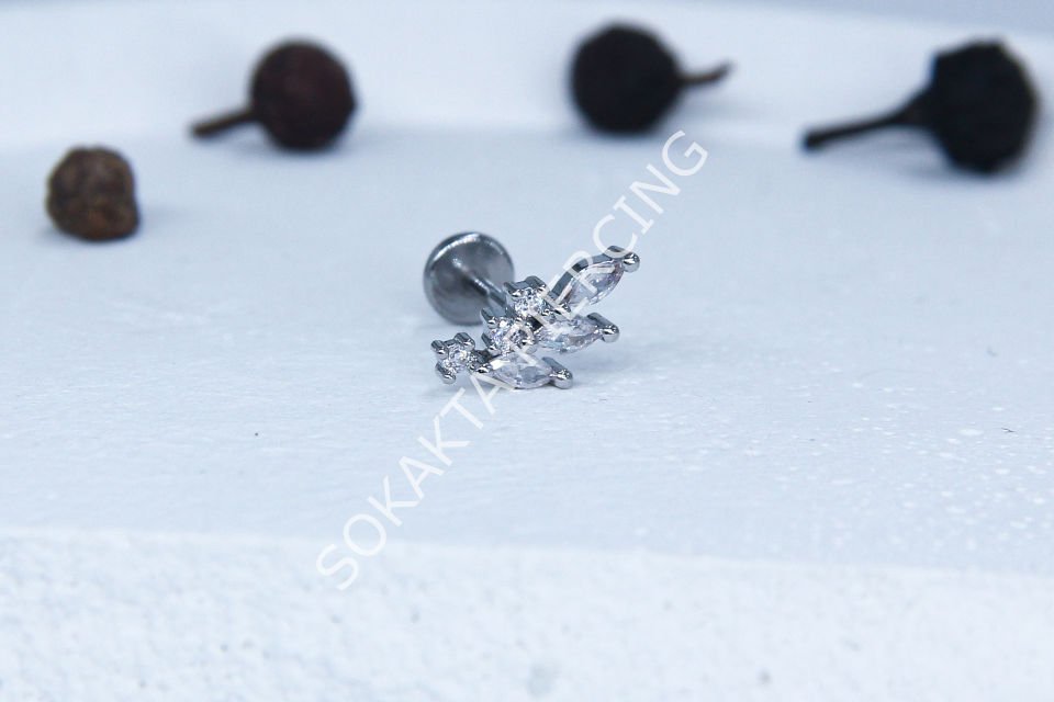 C40 - TRAGUS