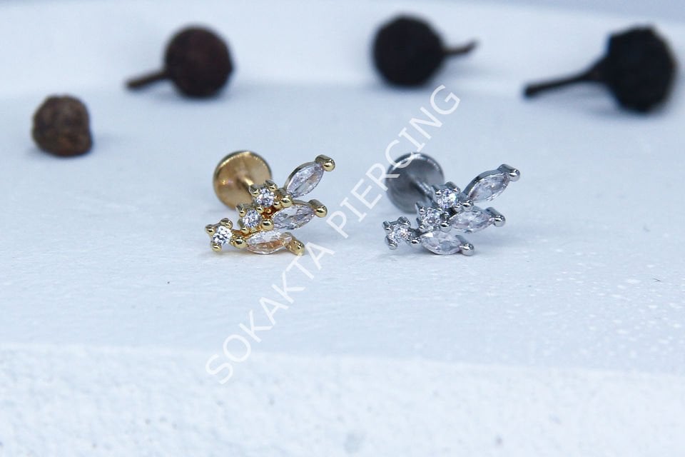 C40 - TRAGUS
