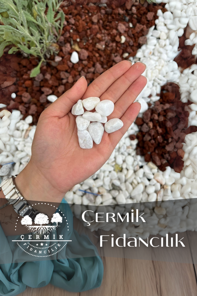 Beyaz Dolomit Taş 20 Kg 1-2 Cm Çakıl Taşı Bahçe Peysaj Süs Taşı