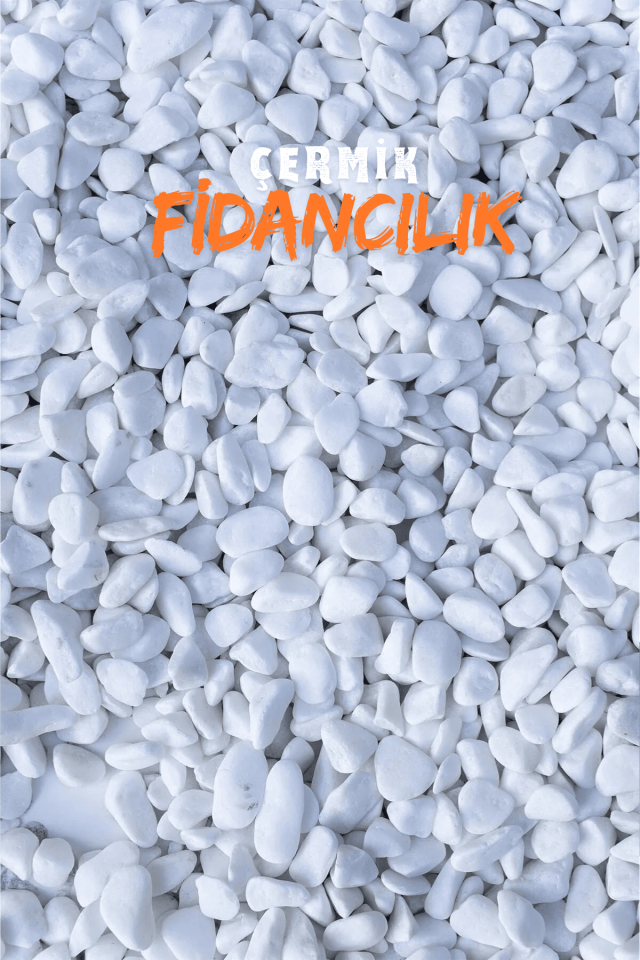 Beyaz Dolomit Taş 5 Kg 2-4 Cm Çakıl Taşı Bahçe Peysaj Süs Taşı