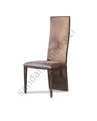 S-818 PASLANMAZ ÇELİK SANDALYE