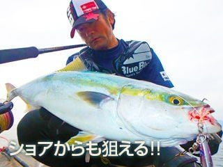 BlueBlue Searide Long 150g 02