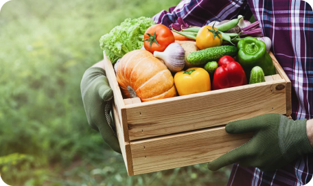 Hangi mevsimde hangi sebze ve meyveyi tüketmeliyiz?