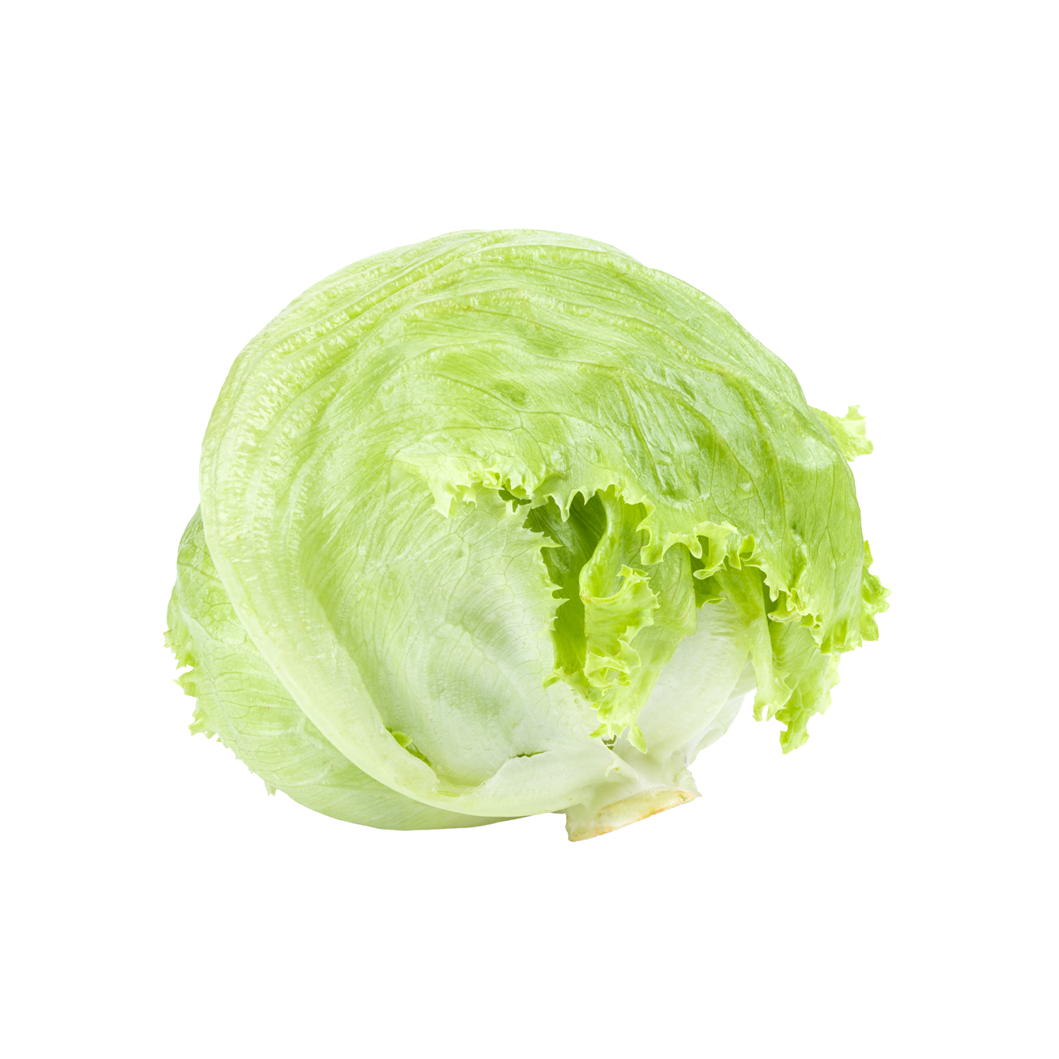 Marul Iceberg 1 Adet