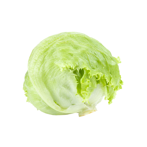 Marul Iceberg 1 Adet