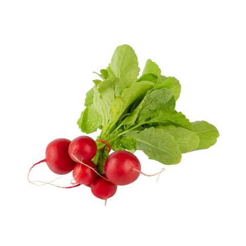 Turp Fındık 1 Demet