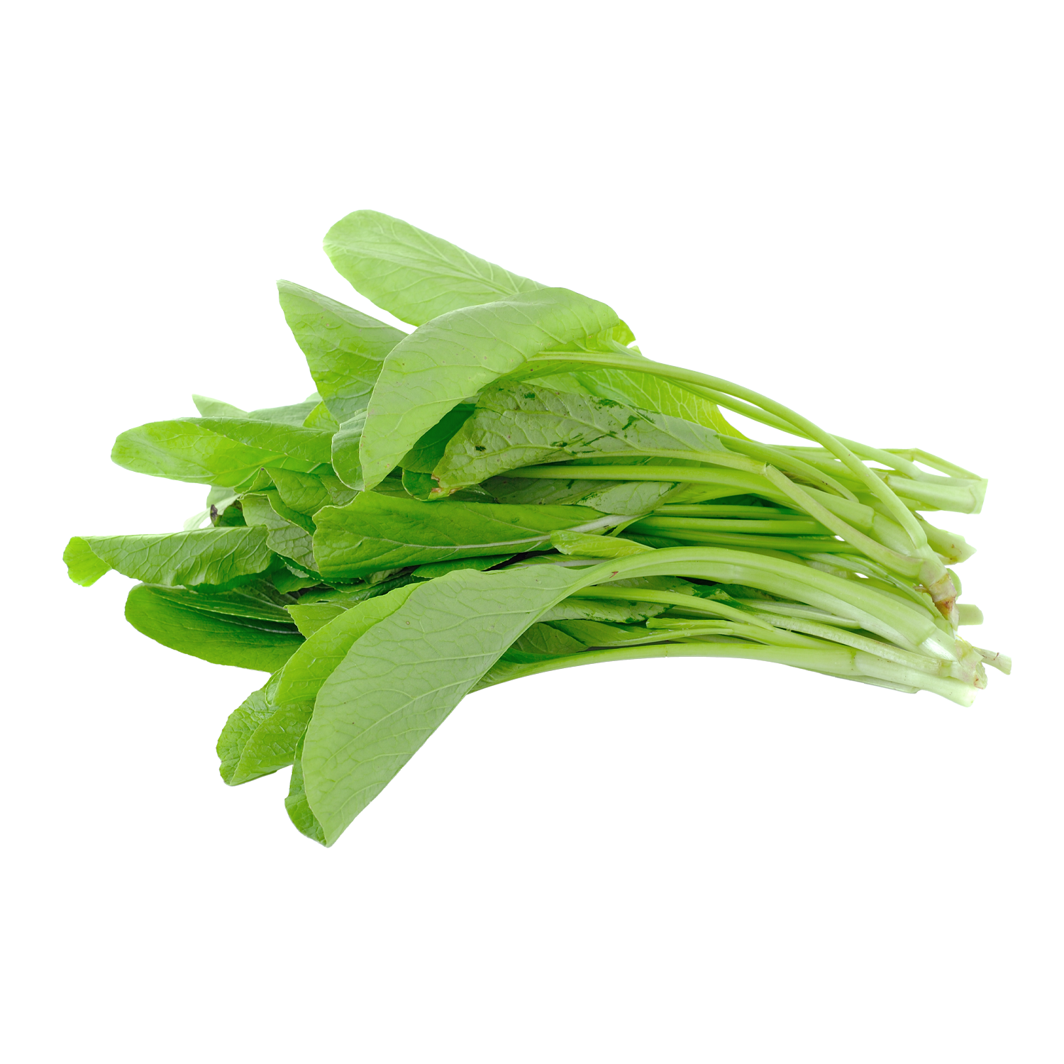 Kuzu Kulağı 1 Demet