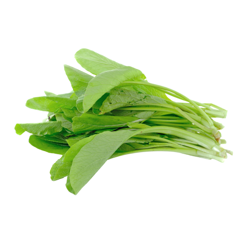 Kuzu Kulağı 1 Demet