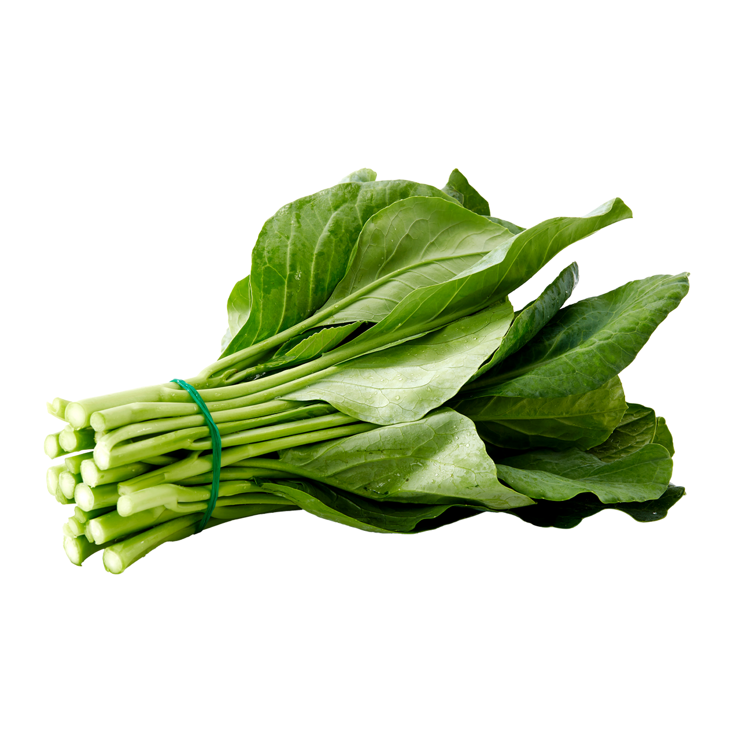 Pazı Yaprağı 1 Demet