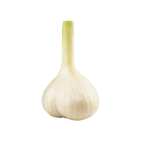 Sarımsak Taze KG
