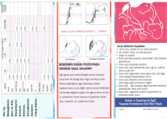 Anne Sütü Emzirme Broşürü ve Bebek Dostu Kurum Emzirme Politikası Afişi