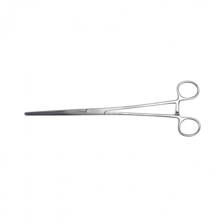 Goblet Tutma Pensi 25 cm