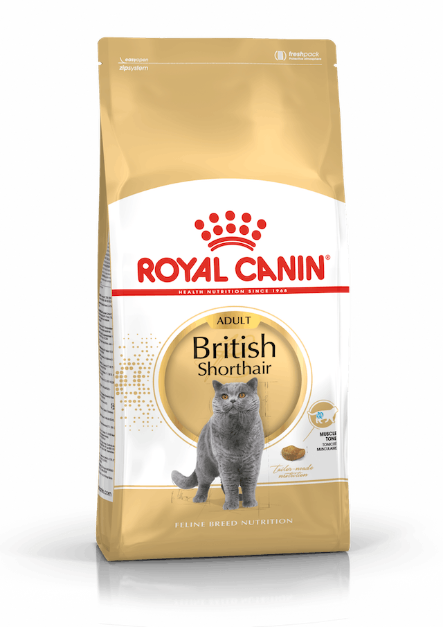 Royal Canin British Shorthair Adult Kedi Kuru Maması 10 kg