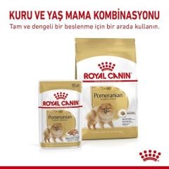 Royal Canin Köpek Maması Pomarian Adult 3 Kg