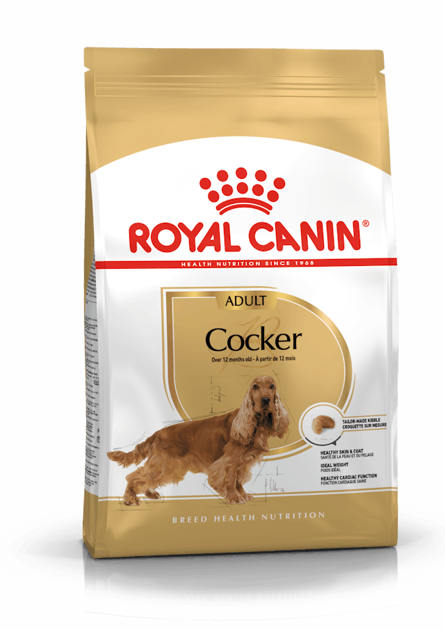 Royal Canin Cocker Adult Yetişkin Köpek Maması 3 Kg