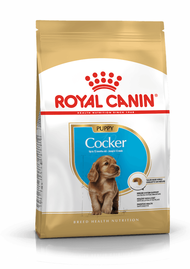 Royal Canin Cocker Junior Yavru Köpek Maması 3 Kg