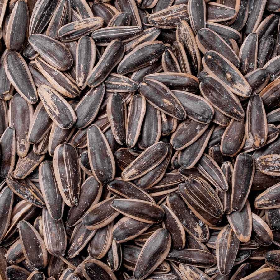Toptan Dokato Tuzlu Ayçekirdeği 10 Kg - TUZSUZ