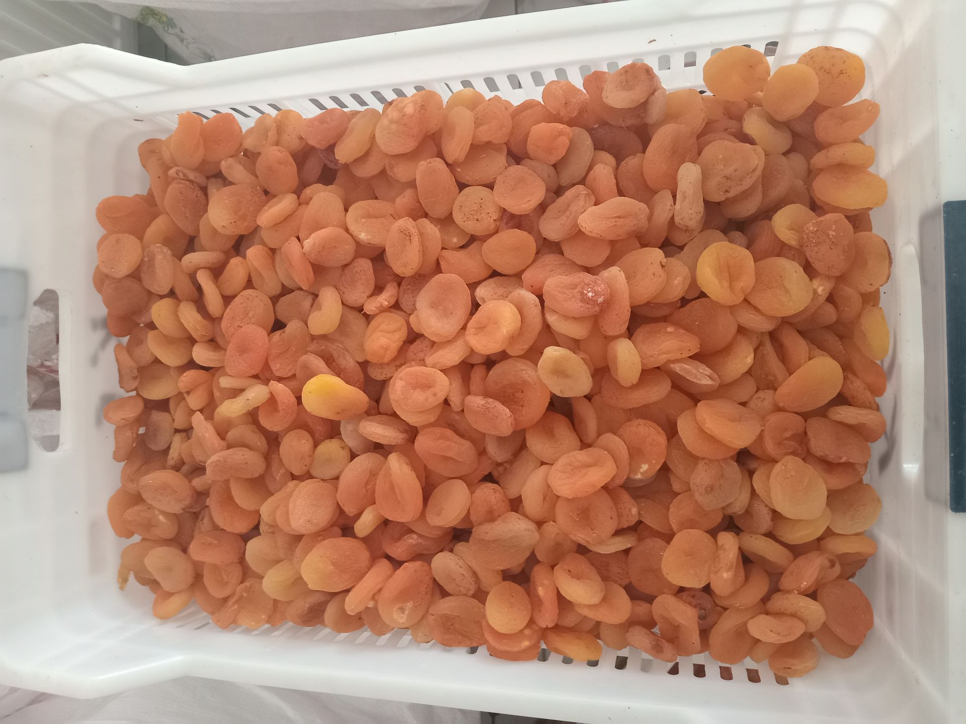 Toptan Ekonomik Aşurelik Sarı Kayısı 12.5 Kg
