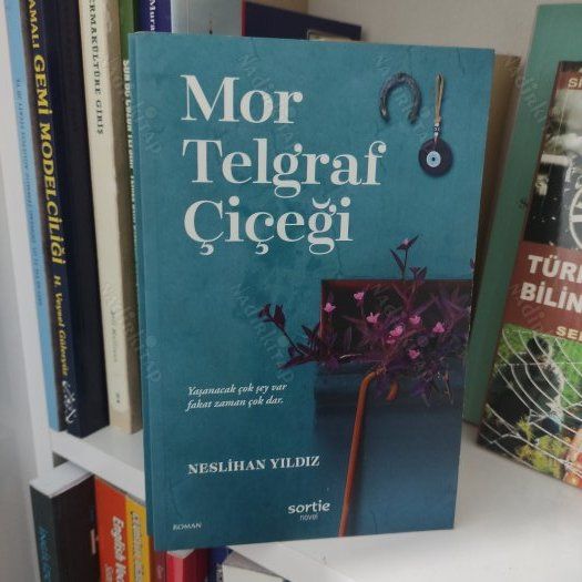 Mor Telgraf Çiçeği