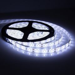 4040 10 ÇİPLİ BEYAZ ŞERİT LED 5 METRE (İÇ MEKAN)