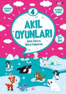 AKIL OYUNLARI 4
