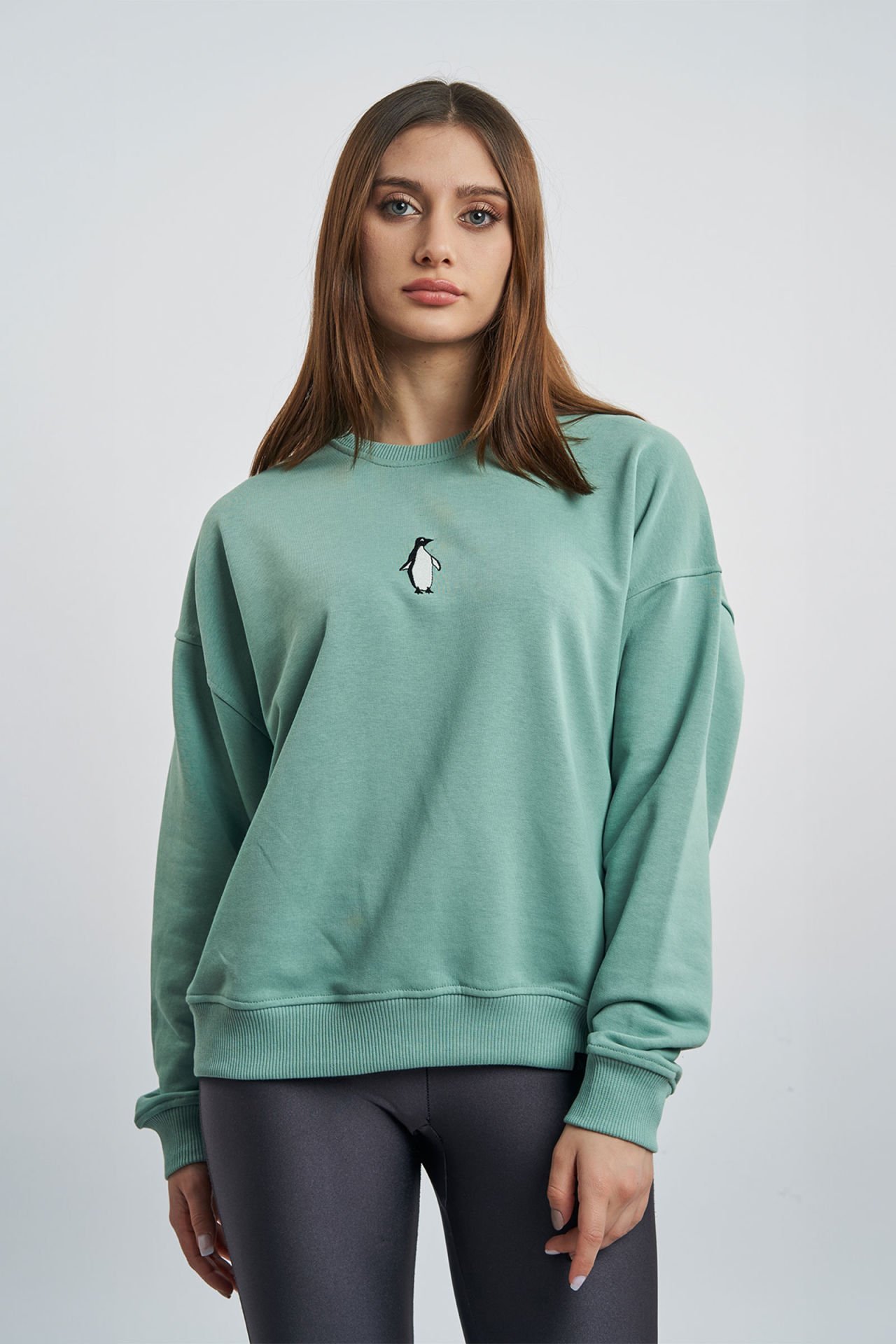 Penguen Nakışlı Casual Sweatshirt - Mint Yeşili